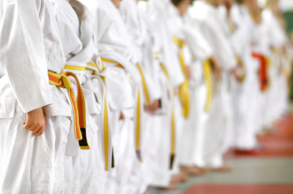 Martial Arts Insurance in Leonardtown, St. Mary's County, MD